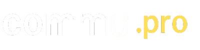 Website Logo